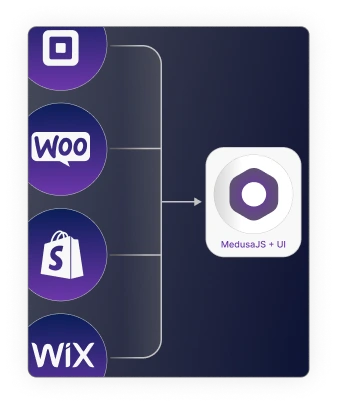 Integration Services